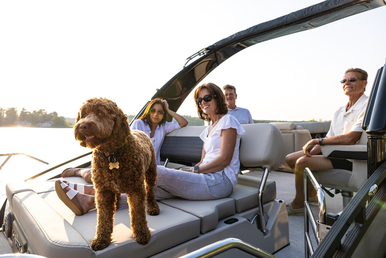 Harris Pontoon Boats Solstice 250 SLDH Dog Lounger