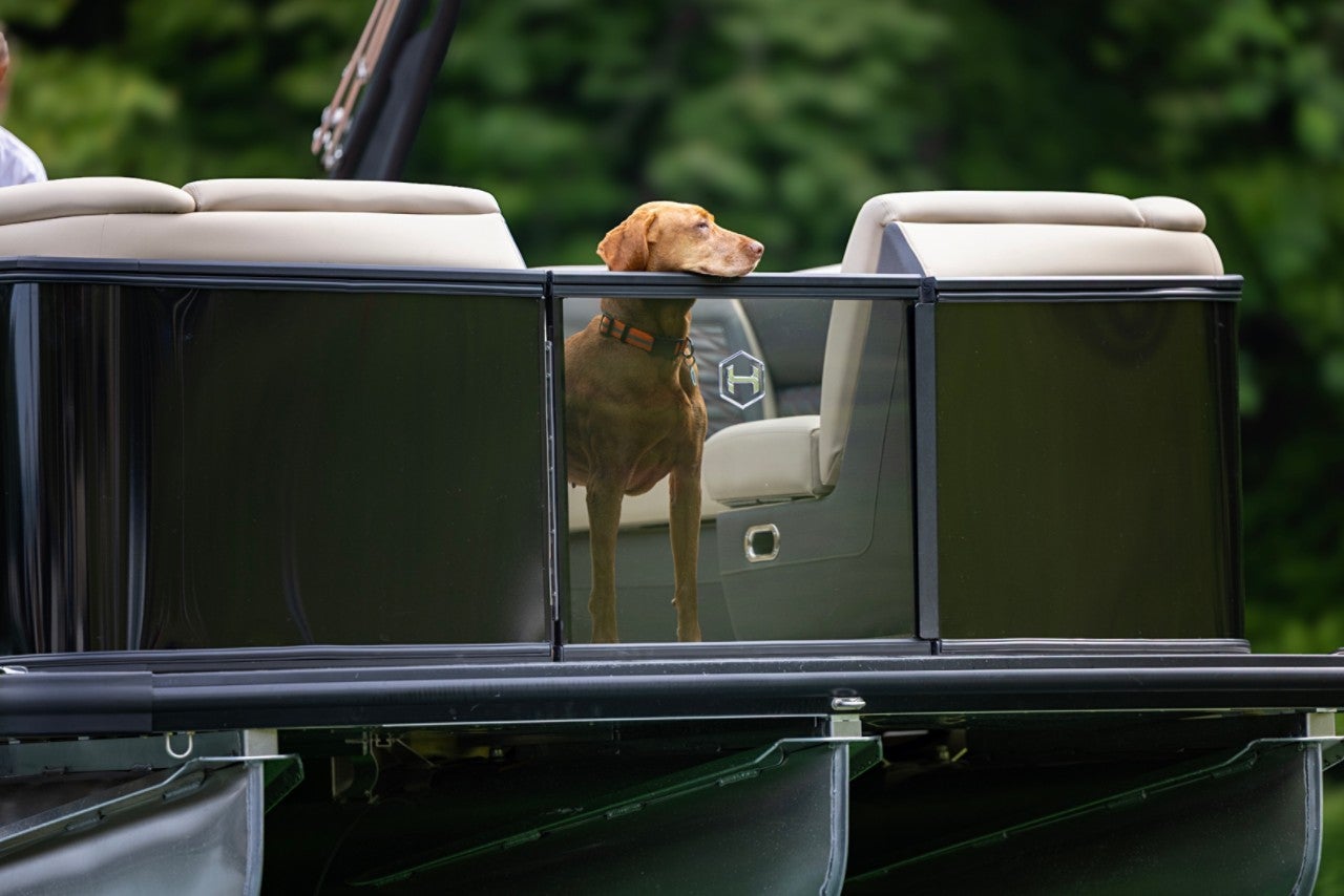 Harris Pontoon Boats Sunliner 230 Sport See Through Bow Gate